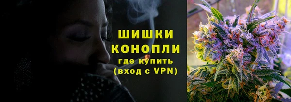 PSILOCYBIN Майский