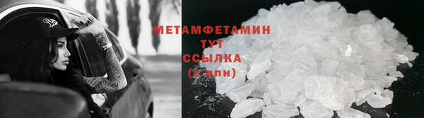 PSILOCYBIN Майский