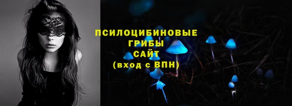 стаф Магадан