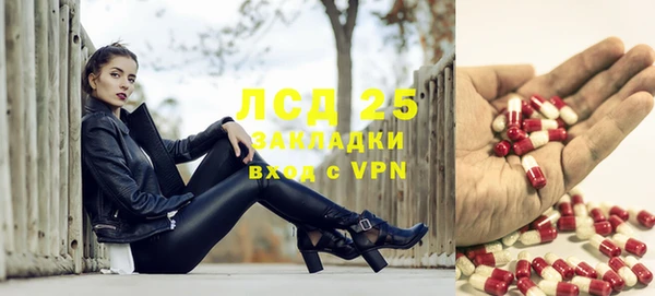 PSILOCYBIN Майский