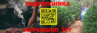 ECSTASY Краснодар