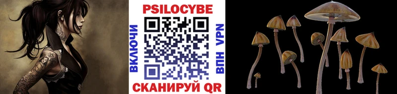 Галлюциногенные грибы Magic Shrooms  Лесной 