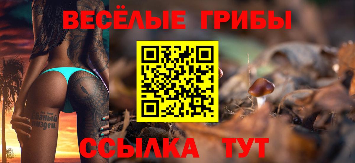 Псилоцибиновые грибы Magic Shrooms Лесной
