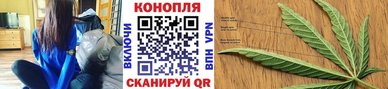 Бошки марихуана индика Лесной